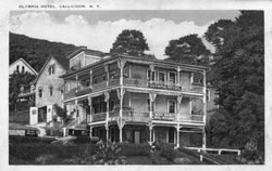 Olympia Hotel - Callicoon
